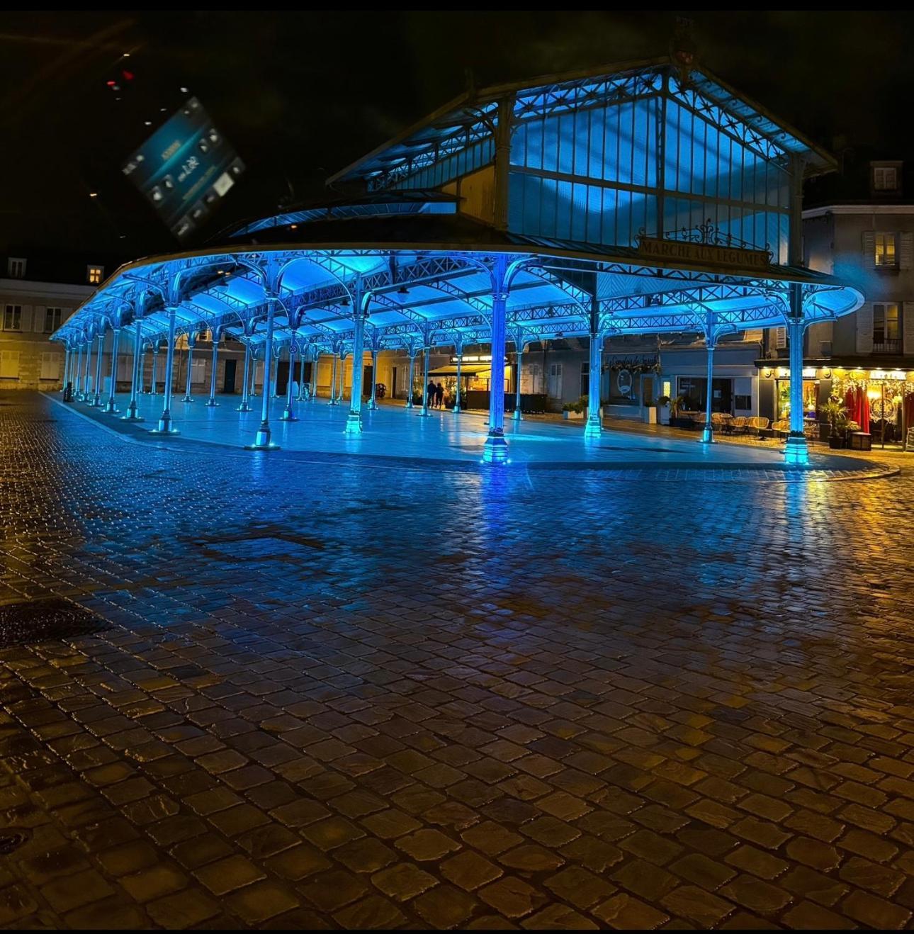 Le Cocon Urbain Central Chartres Eksteriør billede